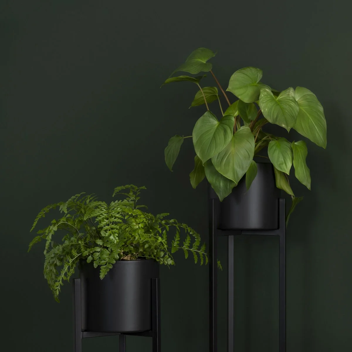 QUVIO Plantenstandaard Binnen - Inclusief Pot - Staande Plantenbak - Metaal - Bloempot - 22 X 22 X 60 Cm - Zwart 5 QUVIO Plantenstandaard Binnen - Inclusief Pot - Staande Plantenbak - Metaal - Bloempot - 22 X 22 X 60 Cm - Zwart - Afbeelding 5