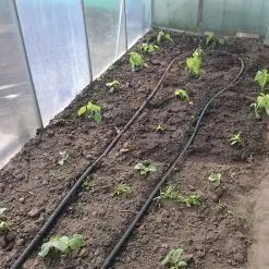 Leidingshop.nl Druppelslang Actiepakket 100 Meter - Leidingshop -Bloempotten Verkoop 1200x1200 1114