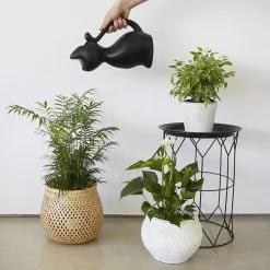 Balvi Meow! Kat Gieter - Zwart 8 Balvi Meow! Kat Gieter - Zwart -Bloempotten Verkoop 1200x1200 1145