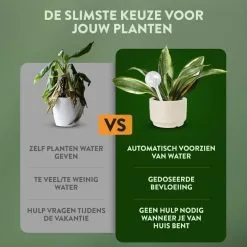 STFF & Co® Waterdruppelaar Voor Planten – Irrigatiesysteem Automatisch Watergeefsysteem – Waterbollen Voor Planten – Bewateringssysteem – 8 Stuks - 8cm 7 STFF & Co® Waterdruppelaar Voor Planten – Irrigatiesysteem Automatisch Watergeefsysteem – Waterbollen Voor Planten – Bewateringssysteem – 8 Stuks - 8cm -Bloempotten Verkoop 1200x1200 1150