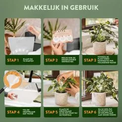 STFF & Co® Waterdruppelaar Voor Planten – Irrigatiesysteem Automatisch Watergeefsysteem – Waterbollen Voor Planten – Bewateringssysteem – 8 Stuks - 8cm 8 STFF & Co® Waterdruppelaar Voor Planten – Irrigatiesysteem Automatisch Watergeefsysteem – Waterbollen Voor Planten – Bewateringssysteem – 8 Stuks - 8cm -Bloempotten Verkoop 1200x1200 1151