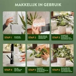 STFF & Co® Waterdruppelaar Voor Planten – Irrigatiesysteem Automatisch Watergeefsysteem – Waterbollen Voor Planten – Bewateringssysteem – 8 Stuks - 5cm 8 STFF & Co® Waterdruppelaar Voor Planten – Irrigatiesysteem Automatisch Watergeefsysteem – Waterbollen Voor Planten – Bewateringssysteem – 8 Stuks - 5cm -Bloempotten Verkoop 1200x1200 1160