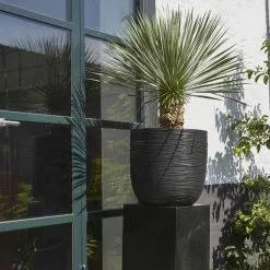 Capi Europe - Bloempot Bol Rib NL - 35x34 - Zwart - Voor Binnen En Buiten - KBLR932 -Bloempotten Verkoop 1200x1200 119