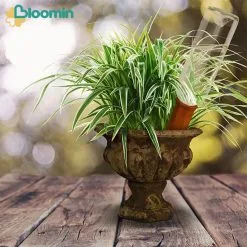 Bloomin Waterdruppelaar Van Terracotta - Waterdruppelaar Voor Planten - Druppelsysteem - Irrigatiesysteem - Watergeefsysteem - Bewateringssysteem - 8 Stuks 10 Bloomin Waterdruppelaar Van Terracotta - Waterdruppelaar Voor Planten - Druppelsysteem - Irrigatiesysteem - Watergeefsysteem - Bewateringssysteem - 8 Stuks -Bloempotten Verkoop 1200x1200 1192