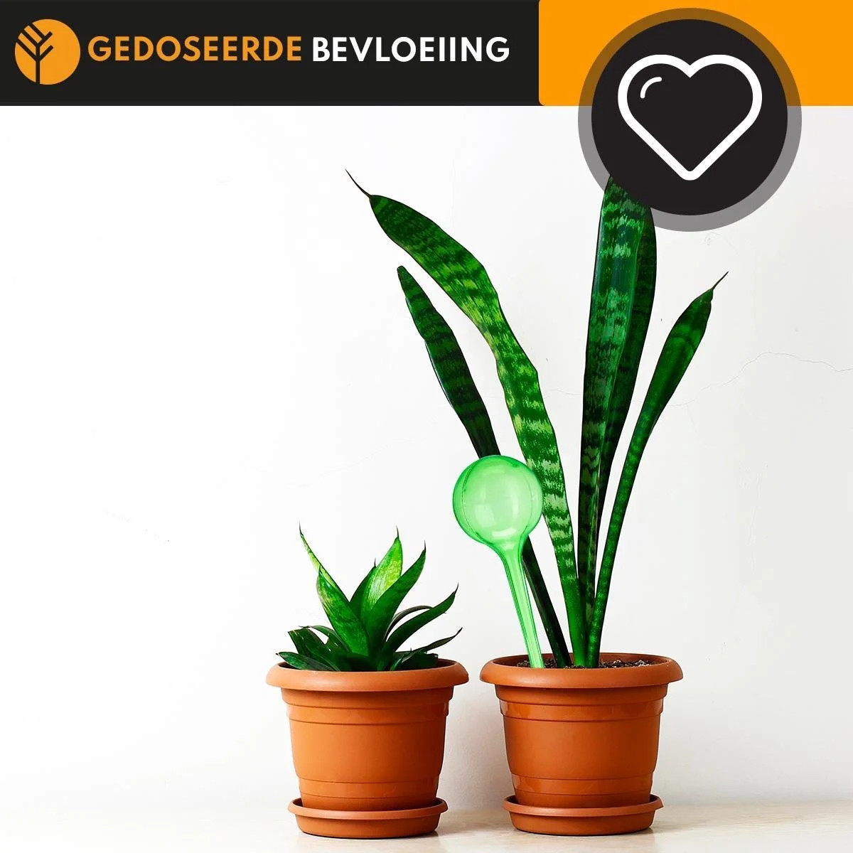 Groots Waterdruppelaar Set Van 6 Stuks Voor Planten – 27 CM – Automatisch Watergeefsysteem Voor Kamerplanten – Planten Watergever Met Druppelsysteem – Waterbol 4 Groots Waterdruppelaar Set Van 6 Stuks Voor Planten – 27 CM – Automatisch Watergeefsysteem Voor Kamerplanten – Planten Watergever Met Druppelsysteem – Waterbol - Afbeelding 4