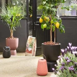 Elho Pure Coupe 35 - Bloempot Voor Binnen & Buiten - Ø 34.9 X H 49.0 Cm - Zwart/Zwart -Bloempotten Verkoop 1200x1200 122