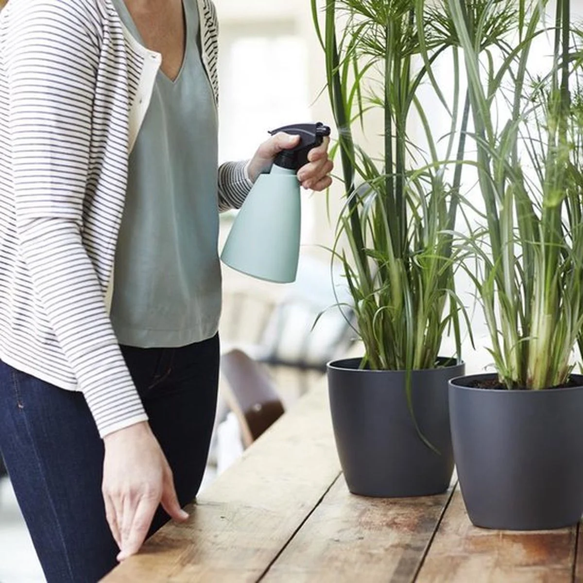 Elho Brussels Sprayer 12 - Plantenspuit Voor Binnen - Ø 11.3 X H 22.3 Cm - Groen/Mint 5 Elho Brussels Sprayer 12 - Plantenspuit Voor Binnen - Ø 11.3 X H 22.3 Cm - Groen/Mint - Afbeelding 5