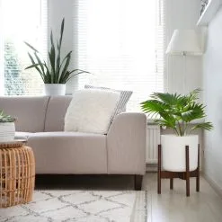 LifeGoods Planten Standaard - Uitschuifbare Bloempothouder - 20 Tot 30 Cm - Donker Bamboe 12 LifeGoods Planten Standaard - Uitschuifbare Bloempothouder - 20 Tot 30 Cm - Donker Bamboe -Bloempotten Verkoop 1200x1200 126