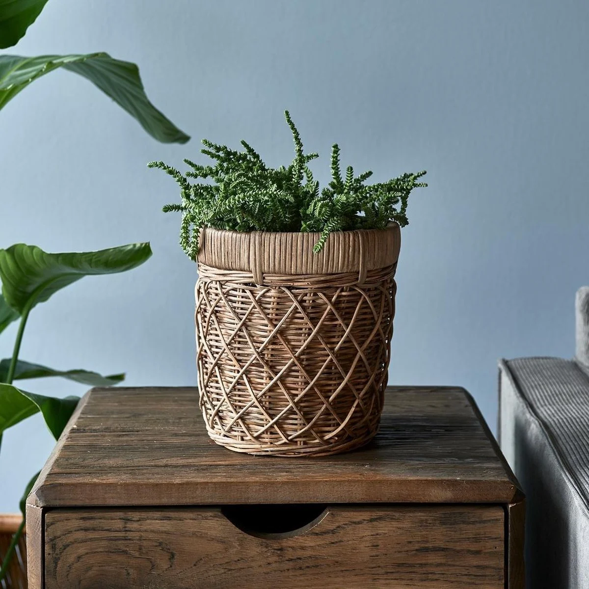 Riviera Maison Bloempot Voor Binnen Naturel - Rustic Rattan Diamond Weave Planter S 2 Riviera Maison Bloempot Voor Binnen Naturel - Rustic Rattan Diamond Weave Planter S - Afbeelding 2