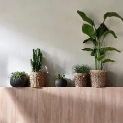 Riviera Maison Bloempot Voor Binnen Naturel - Rustic Rattan Diamond Weave Planter S 8 Riviera Maison Bloempot Voor Binnen Naturel - Rustic Rattan Diamond Weave Planter S -Bloempotten Verkoop 1200x1200 133