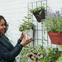 Elho Loft Urban Green Wall Rek 48 - Accessoires Voor Buiten - Ø 47.3 X H 59.0 Cm - Zwart/Living Black 14 Elho Loft Urban Green Wall Rek 48 - Accessoires Voor Buiten - Ø 47.3 X H 59.0 Cm - Zwart/Living Black -Bloempotten Verkoop 1200x1200 136