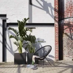 Capi Europe - Bloempot Vierkant Smooth NL - 50x50x50 - Zwart - Voor Binnen En Buiten - KBL904 22 Capi Europe - Bloempot Vierkant Smooth NL - 50x50x50 - Zwart - Voor Binnen En Buiten - KBL904 -Bloempotten Verkoop 1200x1200 14