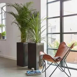 Capi Europe - Bloempot Rechthoek Smooth NL - 36x36x79 - Zwart - Voor Binnen En Buiten - KBL952 22 Capi Europe - Bloempot Rechthoek Smooth NL - 36x36x79 - Zwart - Voor Binnen En Buiten - KBL952 -Bloempotten Verkoop 1200x1200 170