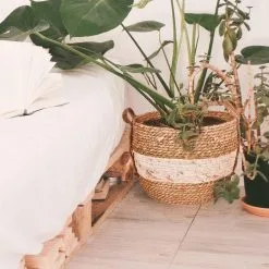 Merkloos Plantenmand 30x22cm Naturel Bruin – Multifunctionele Mand – Handgemaakt – Planten-houder – Planten Accessoires – Planten Mand -Bloempotten Verkoop 1200x1200 201