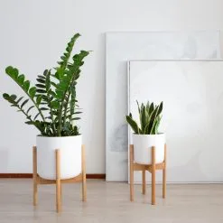 LifeGoods Planten Standaard - Uitschuifbare Bloempothouder - 20 Tot 30 Cm - Licht Bamboe 12 LifeGoods Planten Standaard - Uitschuifbare Bloempothouder - 20 Tot 30 Cm - Licht Bamboe -Bloempotten Verkoop 1200x1200 222