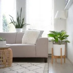 LifeGoods Planten Standaard - Uitschuifbare Bloempothouder - 20 Tot 30 Cm - Licht Bamboe 13 LifeGoods Planten Standaard - Uitschuifbare Bloempothouder - 20 Tot 30 Cm - Licht Bamboe -Bloempotten Verkoop 1200x1200 223