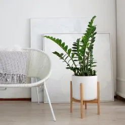 LifeGoods Planten Standaard - Uitschuifbare Bloempothouder - 20 Tot 30 Cm - Licht Bamboe 14 LifeGoods Planten Standaard - Uitschuifbare Bloempothouder - 20 Tot 30 Cm - Licht Bamboe -Bloempotten Verkoop 1200x1200 224