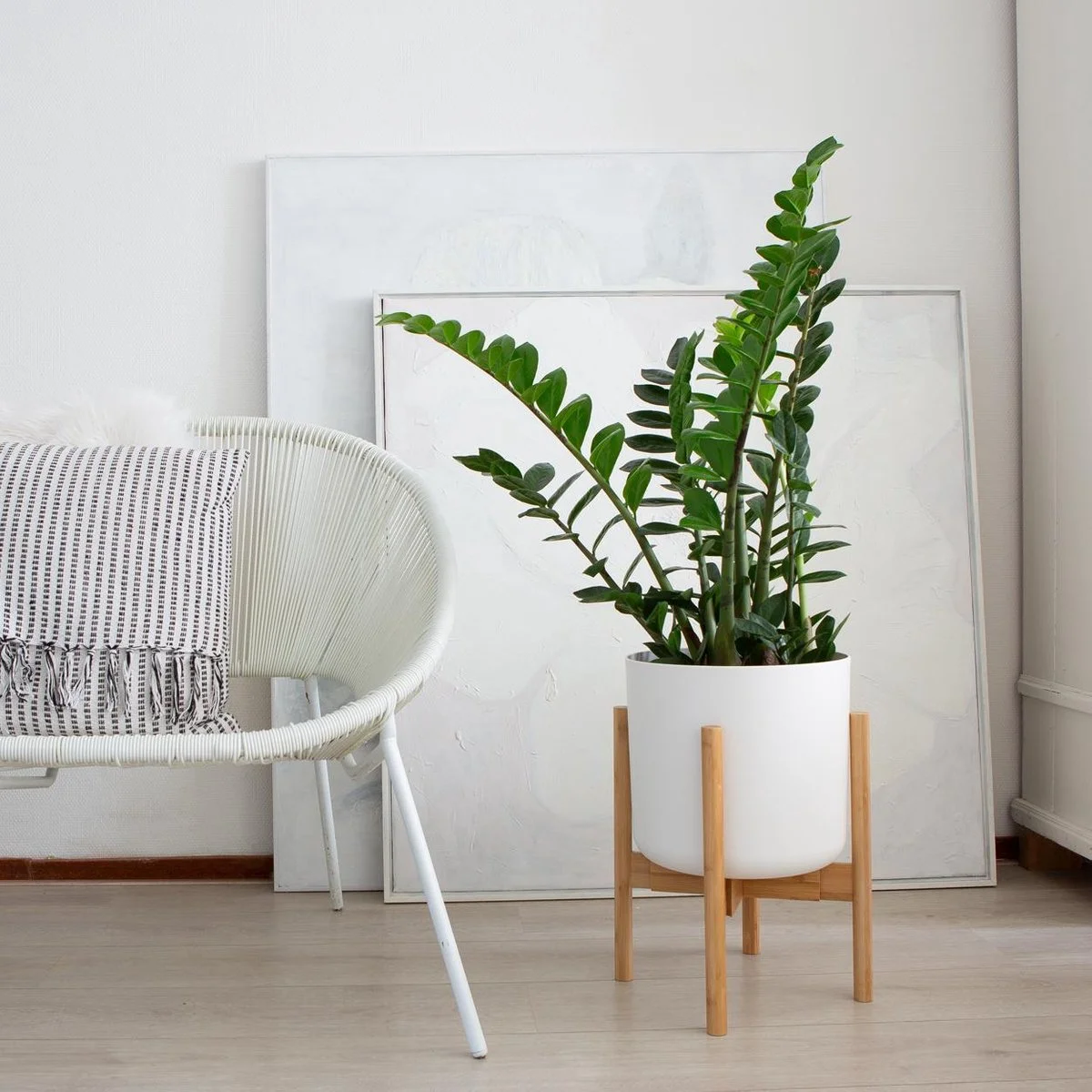 LifeGoods Planten Standaard - Uitschuifbare Bloempothouder - 20 Tot 30 Cm - Licht Bamboe 6 LifeGoods Planten Standaard - Uitschuifbare Bloempothouder - 20 Tot 30 Cm - Licht Bamboe - Afbeelding 6