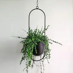 Be Inspired Be-Inspired® Hangende Bloempot Ovaal - Bloempot Binnen - Voor Hangplant – Plant Bloem Pot Met Opknoping – Plantenhanger - Plantenbak - Industrieel – Scandinavisch - Metaal - Zwart 9 Be Inspired Be-Inspired® Hangende Bloempot Ovaal - Bloempot Binnen - Voor Hangplant – Plant Bloem Pot Met Opknoping – Plantenhanger - Plantenbak - Industrieel – Scandinavisch - Metaal - Zwart -Bloempotten Verkoop 1200x1200 227