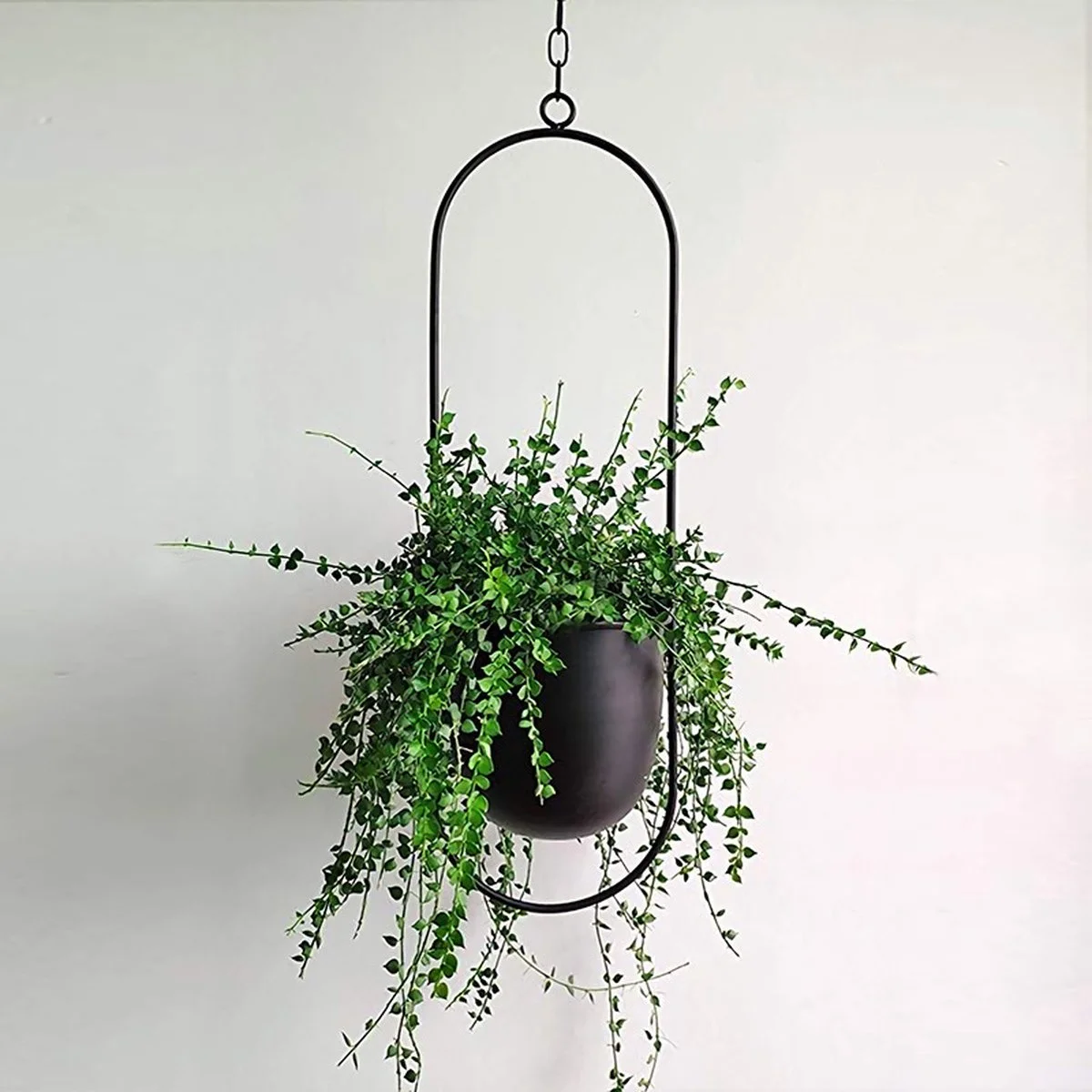 Be Inspired Be-Inspired® Hangende Bloempot Ovaal - Bloempot Binnen - Voor Hangplant – Plant Bloem Pot Met Opknoping – Plantenhanger - Plantenbak - Industrieel – Scandinavisch - Metaal - Zwart 3 Be Inspired Be-Inspired® Hangende Bloempot Ovaal - Bloempot Binnen - Voor Hangplant – Plant Bloem Pot Met Opknoping – Plantenhanger - Plantenbak - Industrieel – Scandinavisch - Metaal - Zwart - Afbeelding 3
