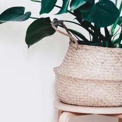 Multi Media Group Plantenmand 35x35cm Naturel Extra Groot | Multifunctionele Mand | Handgemaakt | Planten-houder | Planten Accessoires | Planten Mand