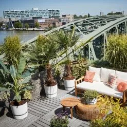 Elho Greenville Rond 30 - Grote Bloempot Voor Buiten - Gemaakt Van Gereycled Plastic - Ø 29.5 X H 27.8 Cm - Living Black 17 Elho Greenville Rond 30 - Grote Bloempot Voor Buiten - Gemaakt Van Gereycled Plastic - Ø 29.5 X H 27.8 Cm - Living Black -Bloempotten Verkoop 1200x1200 24