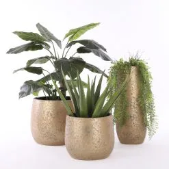 Mica Decorations Clemente Bloempot - H31 X Ø38 Cm - Terracotta - Goud 13 Mica Decorations Clemente Bloempot - H31 X Ø38 Cm - Terracotta - Goud -Bloempotten Verkoop 1200x1200 249