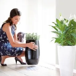 Elho Floorprotector Rond 25 - Accessoires Voor Binnen - Ø 25.0 X H 1.5 Cm - Transparant/Transparant -Bloempotten Verkoop 1200x1200 257