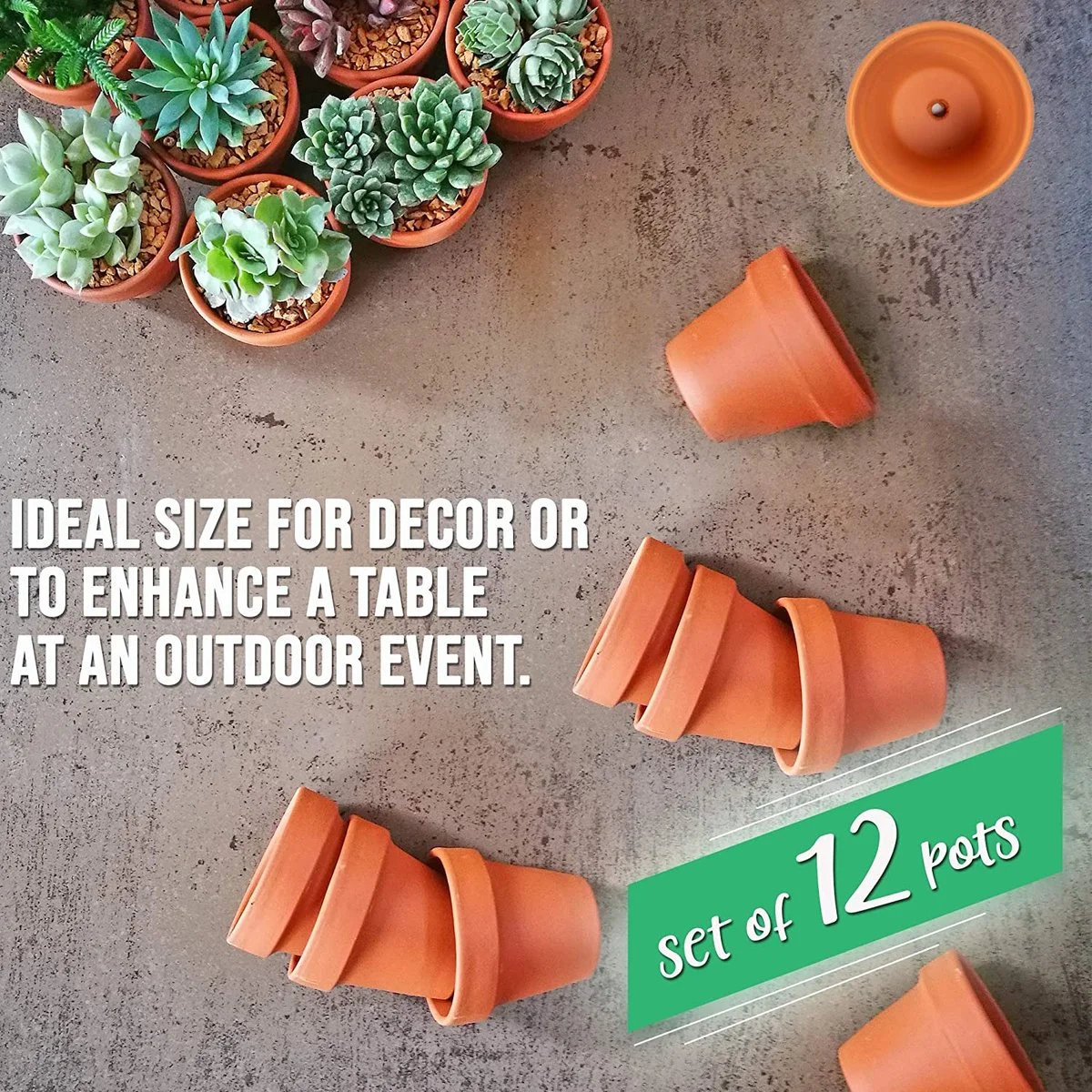 Garden Mania - 12 Mini Terracotta Keramische Klei Bloempotten Met Afvoergat, 8cm 5 Garden Mania - 12 Mini Terracotta Keramische Klei Bloempotten Met Afvoergat, 8cm - Afbeelding 5