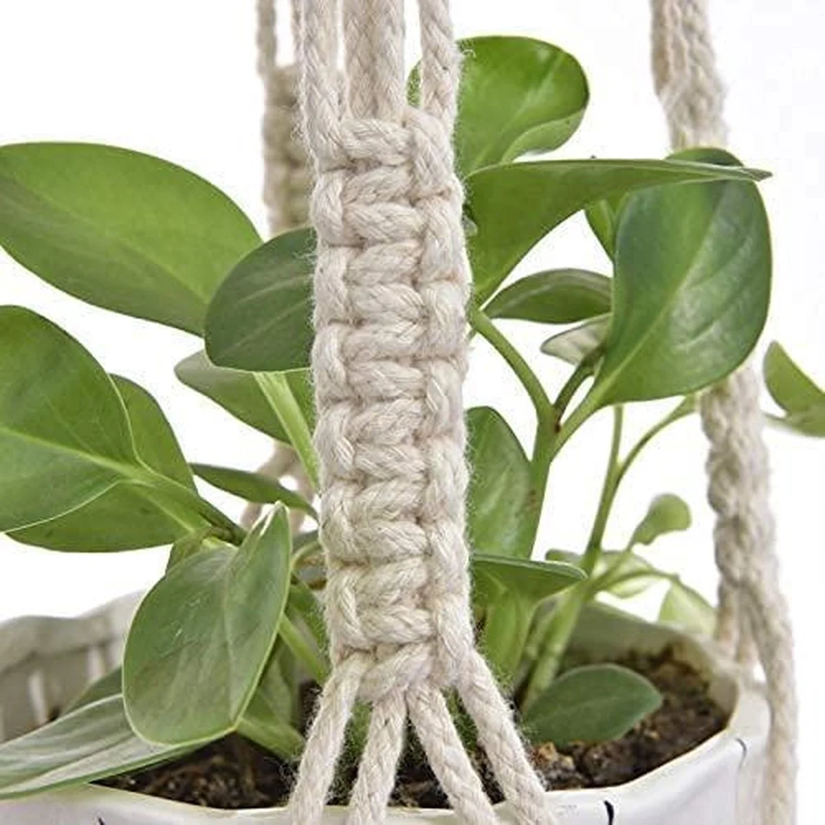 Spieringstore® 4 Stuks Plantenhangers - Boho Handgeweven Katoen Hangpot Voor Binnen/Buiten - Bloempot Met Kralen - Macramé Touw/Koord Hangplant Houder - Bohemian Wandhanger Decoratie - Verticale Tuin Plant Hanger Bloempothouder Planthanger Wit 8 Spieringstore® 4 Stuks Plantenhangers - Boho Handgeweven Katoen Hangpot Voor Binnen/Buiten - Bloempot Met Kralen - Macramé Touw/Koord Hangplant Houder - Bohemian Wandhanger Decoratie - Verticale Tuin Plant Hanger Bloempothouder Planthanger Wit - Afbeelding 8