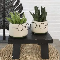 Comforder 2x Bloempot Met Gezicht - Ø8 X H6,5 Cm - Bloempotten Voor Binnen Met Bril/Face/Hoofd -Bloempotten Verkoop 1200x1200 272