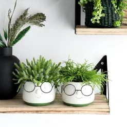 Comforder 2x Bloempot Met Gezicht - Ø8 X H6,5 Cm - Bloempotten Voor Binnen Met Bril/Face/Hoofd -Bloempotten Verkoop 1200x1200 273