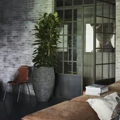 Capi Europe - Vaas Elegant Deluxe Rib NL - 40x60 - Antraciet - Voor Binnen En Buiten - KOFZ1131 -Bloempotten Verkoop 1200x1200 279