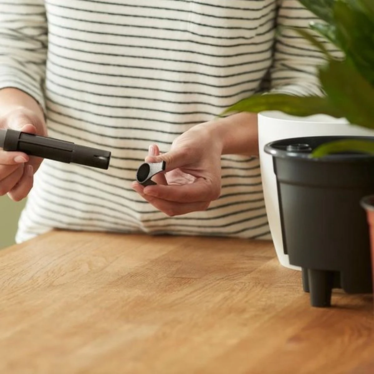 Elho Self-watering Insert 33 - Accessoires Voor Binnenaccessoires - Ø 33.3 X H 30.7 Cm - Zwart/Living Black 4 Elho Self-watering Insert 33 - Accessoires Voor Binnenaccessoires - Ø 33.3 X H 30.7 Cm - Zwart/Living Black - Afbeelding 4