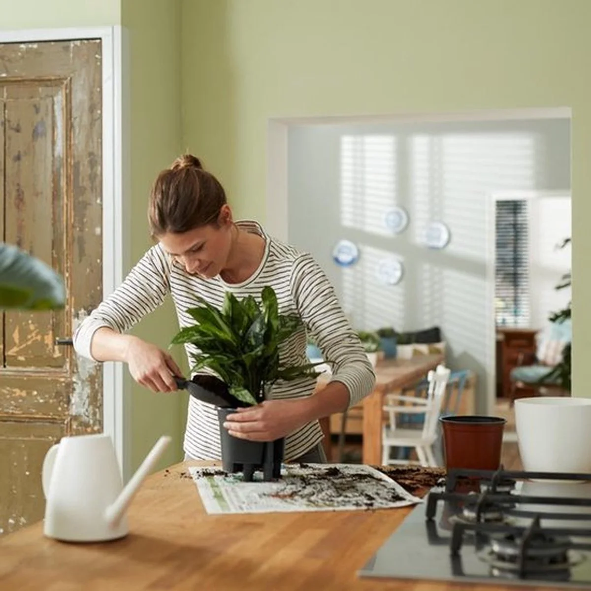 Elho Self-watering Insert 33 - Accessoires Voor Binnenaccessoires - Ø 33.3 X H 30.7 Cm - Zwart/Living Black 5 Elho Self-watering Insert 33 - Accessoires Voor Binnenaccessoires - Ø 33.3 X H 30.7 Cm - Zwart/Living Black - Afbeelding 5