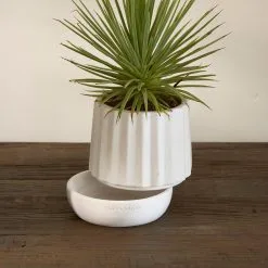 Riviera Maison Plantenbak Rond, Bloempot Met Ribbel - RM Let It Grow Planter - Wit - Porselein - Maat S 10 Riviera Maison Plantenbak Rond, Bloempot Met Ribbel - RM Let It Grow Planter - Wit - Porselein - Maat S -Bloempotten Verkoop 1200x1200 300