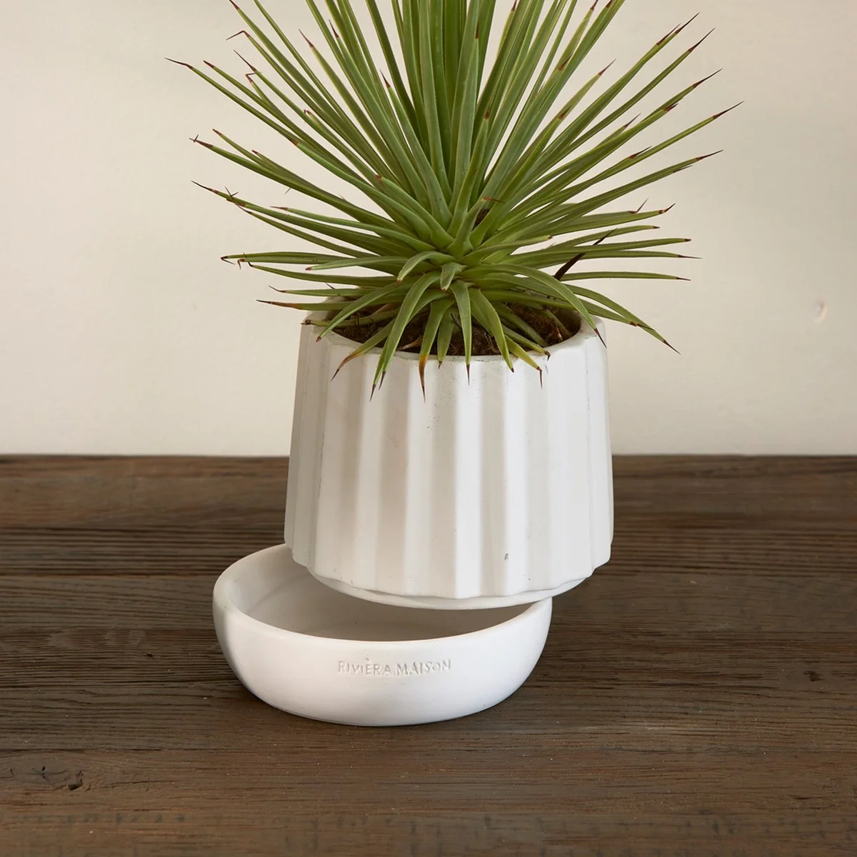 Riviera Maison Plantenbak Rond, Bloempot Met Ribbel - RM Let It Grow Planter - Wit - Porselein - Maat S 4 Riviera Maison Plantenbak Rond, Bloempot Met Ribbel - RM Let It Grow Planter - Wit - Porselein - Maat S - Afbeelding 4