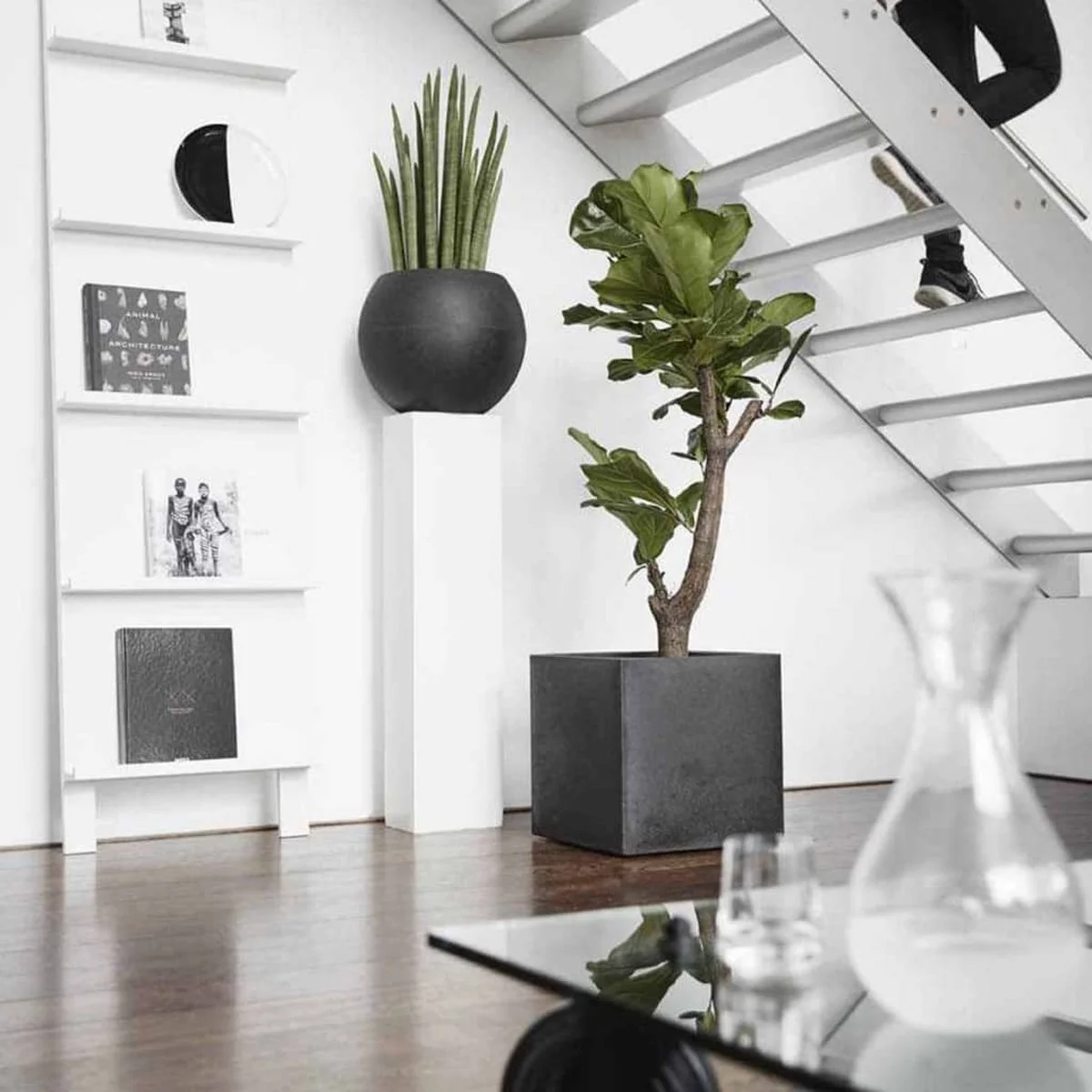 Capi Europe - Bloempot Vierkant Smooth NL - 40x40x40 - Zwart - Voor Binnen En Buiten - KBL903 3 Capi Europe - Bloempot Vierkant Smooth NL - 40x40x40 - Zwart - Voor Binnen En Buiten - KBL903 - Afbeelding 3