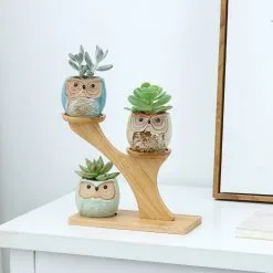 PlantCerra Luxe Bamboe Houten Boom Met 3 Keramiek Uil Bloempotten/Plantenpotten Op Standaard/Voet Voor Binnen En Buiten - Modern Design Bloempot/Plantenpot Op Poten/Pootjes-Plantenbak Mini Cactus Nep Plant Pot Houder - Kleine Bloembakken Plantenrek/Plantenkurk -Bloempotten Verkoop 1200x1200 319