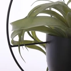 Mica Decorations Dexter Bloempot Hangend - L34 X B14 X H65 Cm - Zwart -Bloempotten Verkoop 1200x1200 328