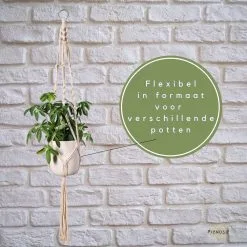 Fienosa® Plantenhanger - Plantenhanger Macrame - Set Van 2 - Wit - Knopen - Luxe Gevlochten Touw - Met Ophang Haken - Fienosa -Bloempotten Verkoop 1200x1200 344