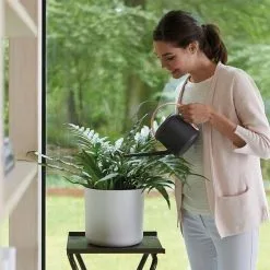 Elho B.for Soft Rond 30 - Bloempot Voor Binnen - Ø 29.5 X H 27.6 Cm - Wit -Bloempotten Verkoop 1200x1200 349