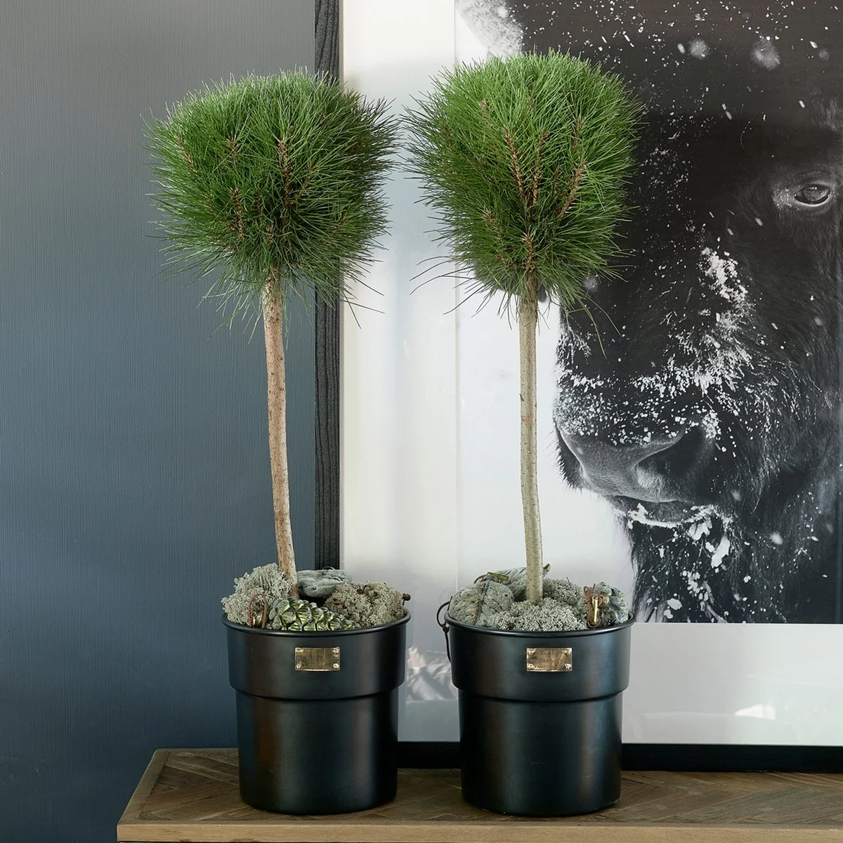 Riviera Maison Bloempot Voor Binnen Zwart - City Loft Flower Pot S 3 Riviera Maison Bloempot Voor Binnen Zwart - City Loft Flower Pot S - Afbeelding 3