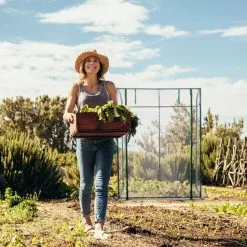 Relaxdays Tomatenkas 170 X 130 X 75 Cm - Folie Tuinkas - Grote Tomaten Kweekkas - Foliekas 15 Relaxdays Tomatenkas 170 X 130 X 75 Cm - Folie Tuinkas - Grote Tomaten Kweekkas - Foliekas -Bloempotten Verkoop 1200x1200 411