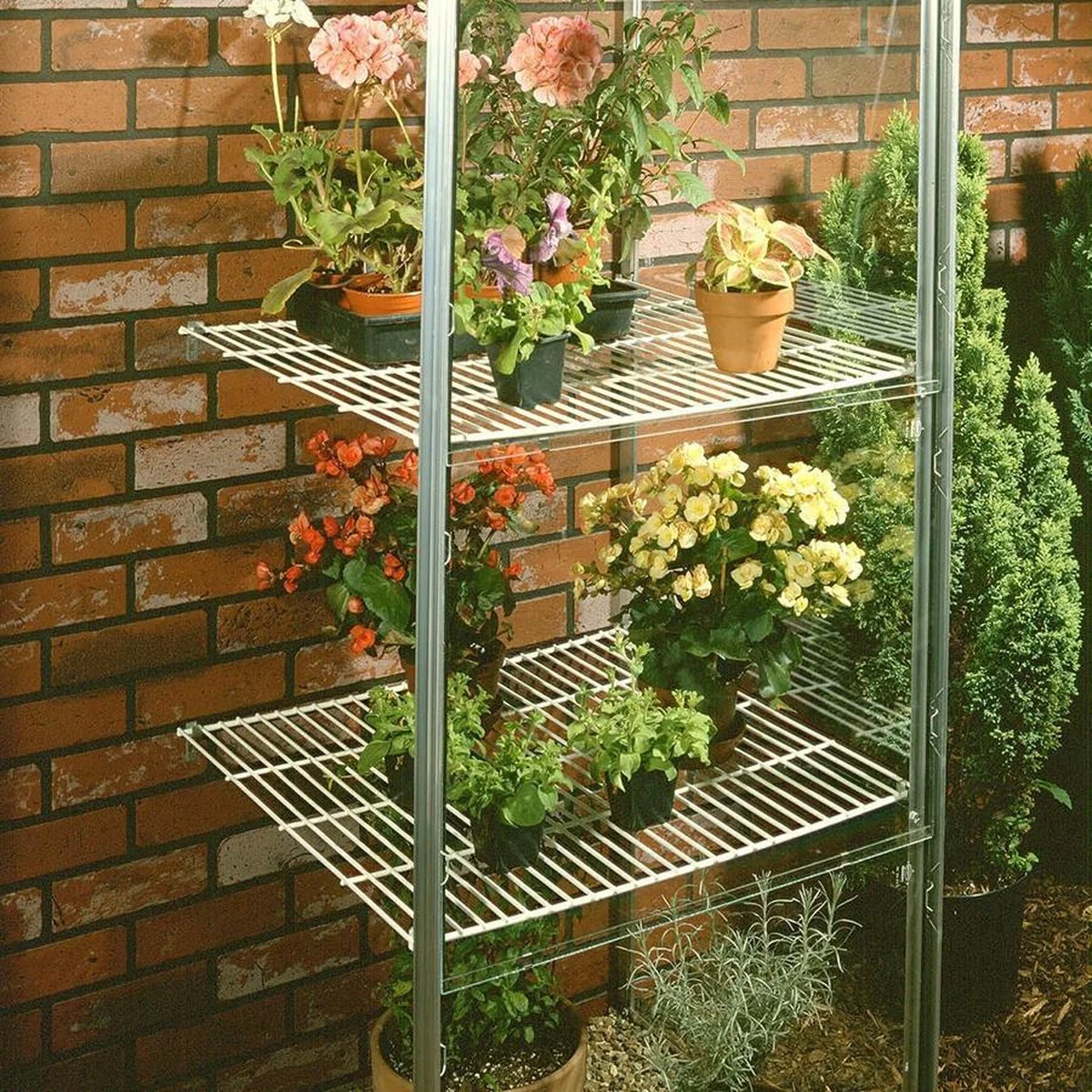 Royal Well Wall Garden 42 Muurkas Glas Groen 3 Royal Well Wall Garden 42 Muurkas Glas Groen - Afbeelding 3