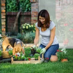 Relaxdays Tomatenkas XL - Met Schuin Dak - Kweekkas Voor Tomaten - Plastic Serre -Bloempotten Verkoop 1200x1200 479