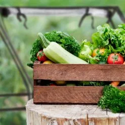 Relaxdays Kweekkas Pvc Met 2 Deuren - Lage Foliekas - Kleine Tuinkas - Plantenkas Tuin -Bloempotten Verkoop 1200x1200 492