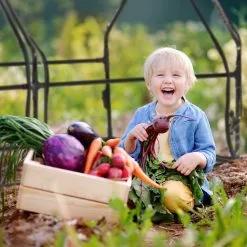 Relaxdays Kweekkas Pvc Met 2 Deuren - Lage Foliekas - Kleine Tuinkas - Plantenkas Tuin -Bloempotten Verkoop 1200x1200 493