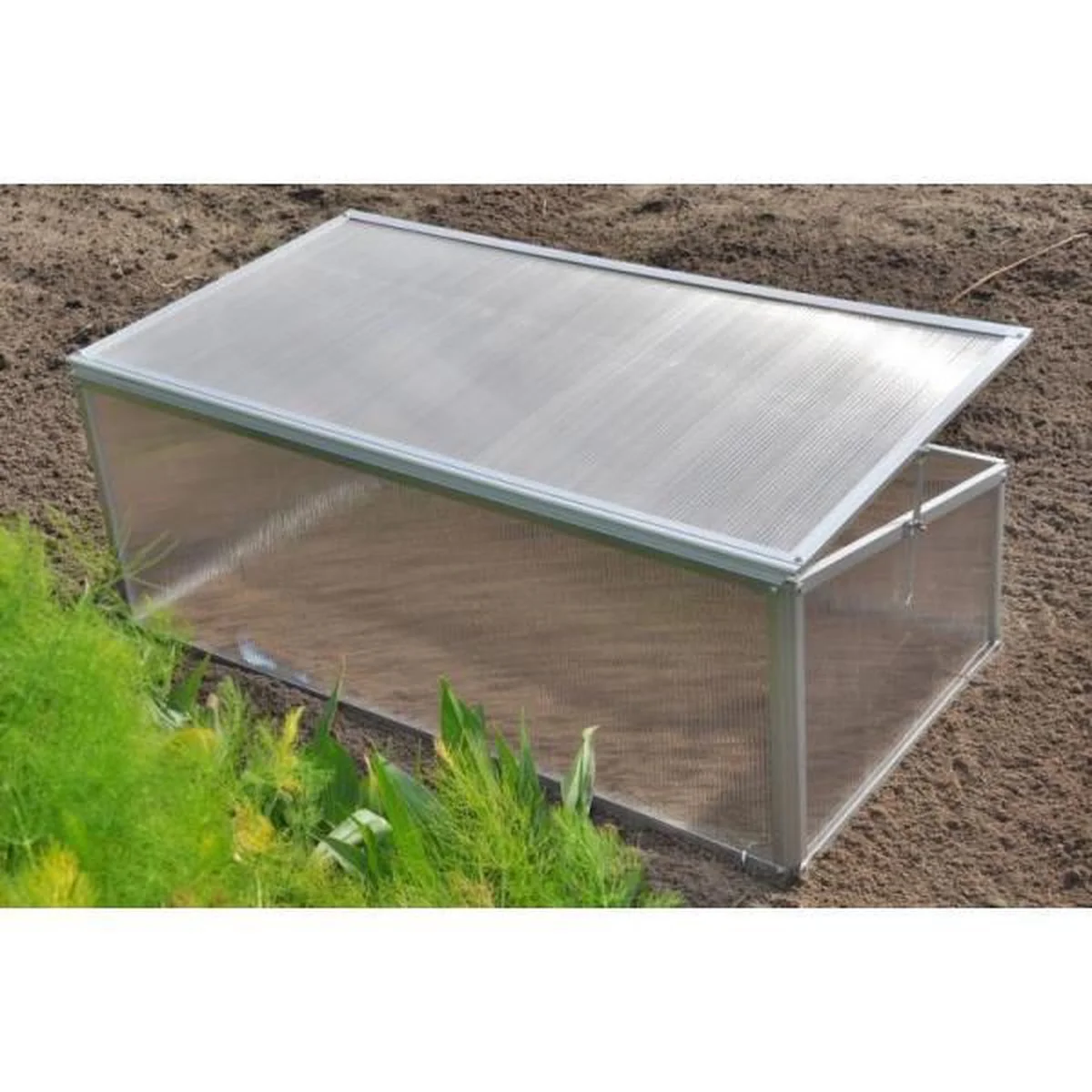 Royal Well Slim Kweken Kweekkasje Broeikas Viola 5 Royal Well Slim Kweken Kweekkasje Broeikas Viola - Afbeelding 5