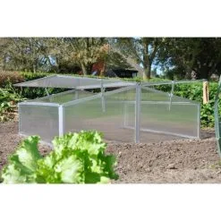 Royal Well Broeikas Silver Thyme -Bloempotten Verkoop 1200x1200 539
